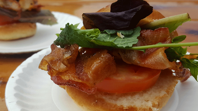 The Great Big Bacon Picnic In Brooklyn NYC 2016